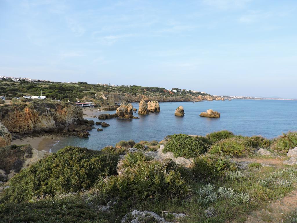 Appartement Sao Rafael - *